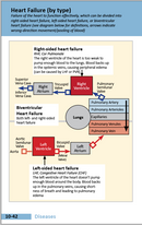 2026 Oakes' Respiratory Care Pocket Guide (Newest Edition)
