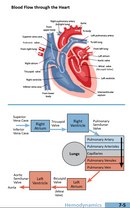 2026 Oakes' Respiratory Care Pocket Guide (Pre-Orders)