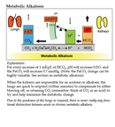 Arterial Blood Gas (2-Book Set)