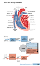 Oakes' Respiratory Care Pocket Guide (2021)