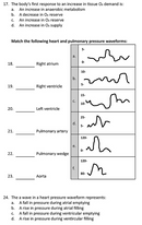 Hemodynamic Monitoring Study Guide